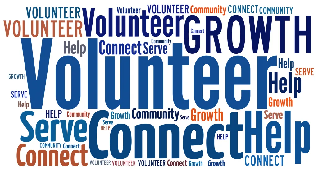 online volunteer induction