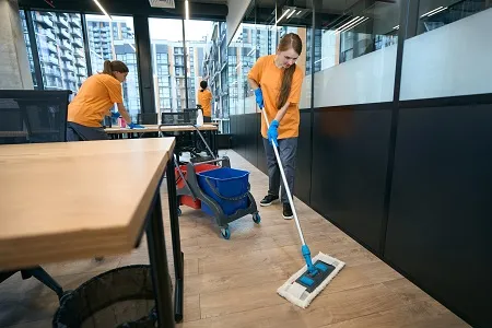 online induction image for cleaning industry