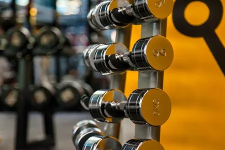 LMS for gyms