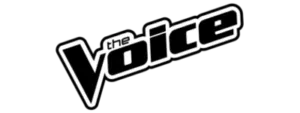 color logo voice