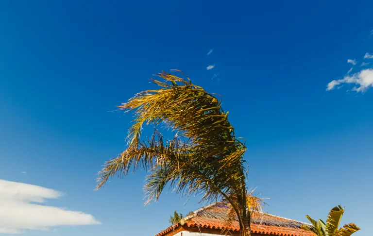 Gust of strong wind